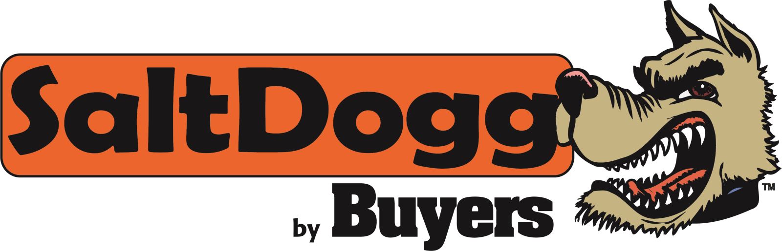 2018 SaltDogg By Buyers Logo [long color]-Lg